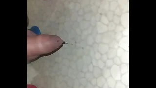 250 bisexual gay porn videos